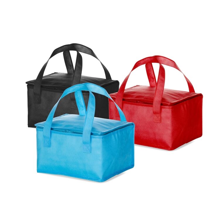 Bolsa Termica 10 Litros 9173D1 1556553478