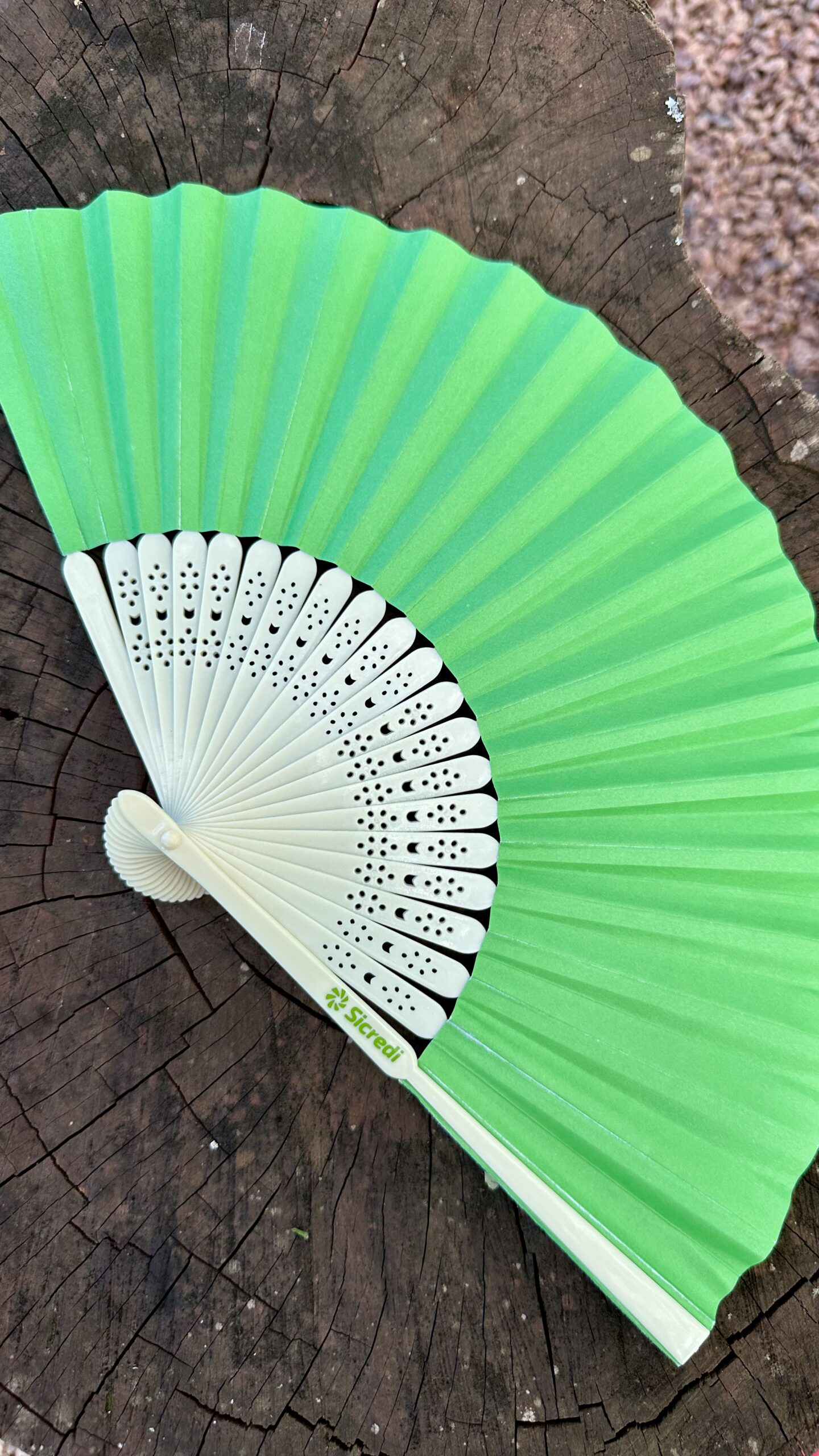 Leque Personalizado, Brindes Para O Dia Da Mulher